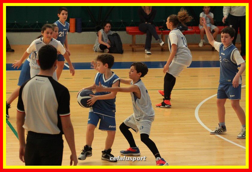 170317 basket 208_tn.jpg